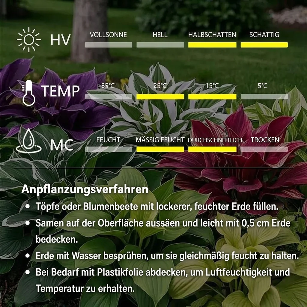 Vorschaubild 9